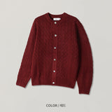 韓國 ✨ 圓領麻花針織開胸冷衫